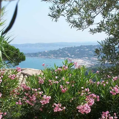 Deux -141 Sainte-Maxime